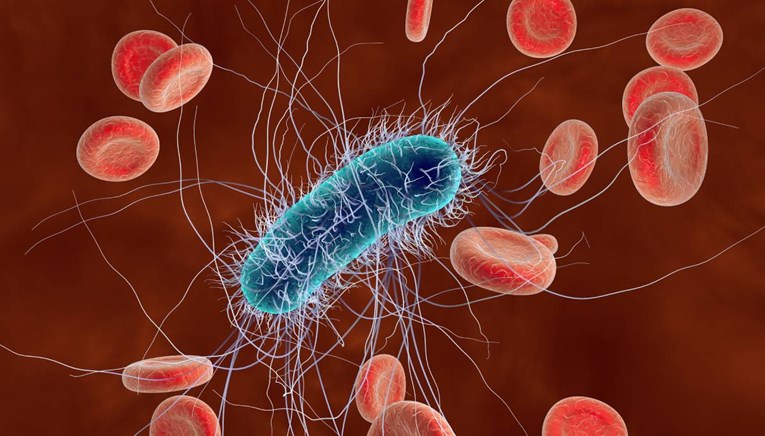 Sve više ljudi umire od bakterija otpornih na antibiotike, ovo su najopasnije